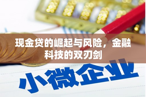 丰原现金贷的崛起与风险，金融科技的双刃剑