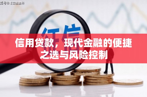 丰原信用贷款，现代金融的便捷之选与风险控制