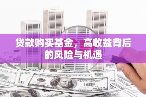 丰原贷款购买基金，高收益背后的风险与机遇