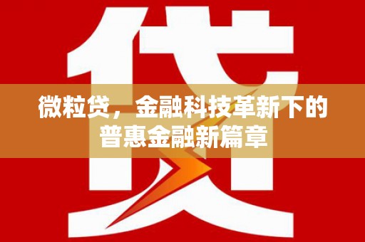丰原微粒贷，金融科技革新下的普惠金融新篇章