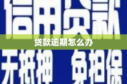 丰原贷款逾期怎么办