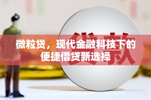 丰原微粒贷，现代金融科技下的便捷借贷新选择