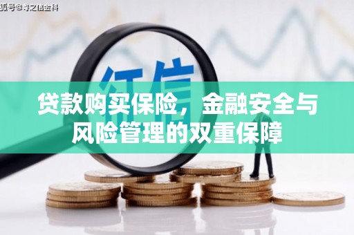 丰原贷款购买保险，金融安全与风险管理的双重保障