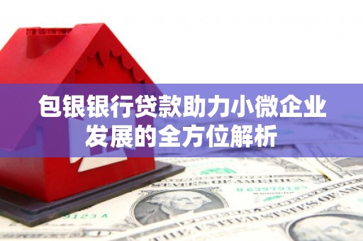 丰原包银银行贷款助力小微企业发展的全方位解析