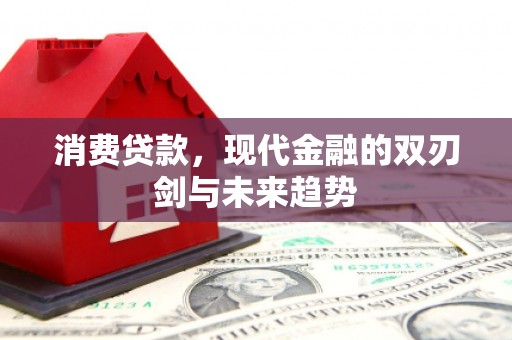 丰原消费贷款，现代金融的双刃剑与未来趋势