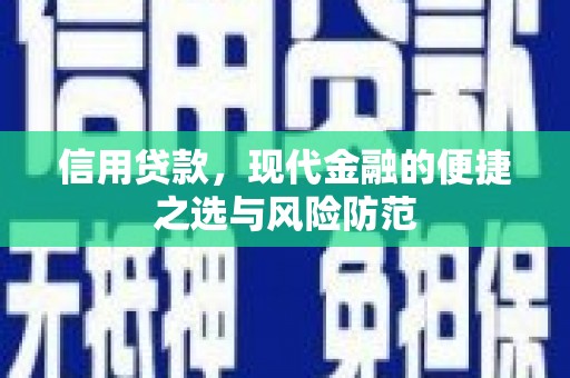 丰原信用贷款，现代金融的便捷之选与风险防范