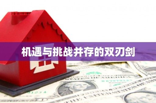 丰原机遇与挑战并存的双刃剑