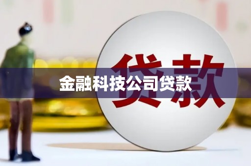 丰原金融科技公司贷款
