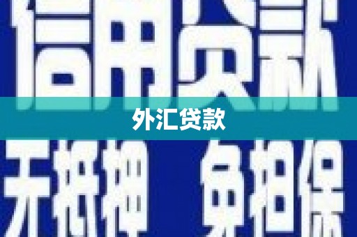 丰原外汇贷款