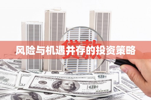 丰原风险与机遇并存的投资策略