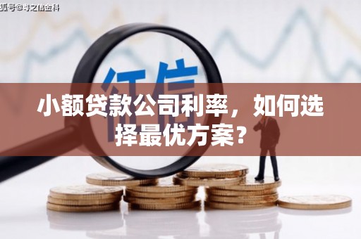 丰原小额贷款公司利率，如何选择最优方案？