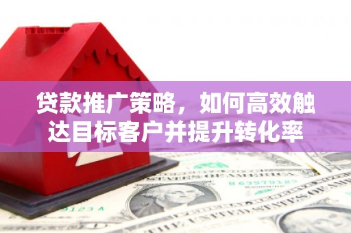 丰原贷款推广策略，如何高效触达目标客户并提升转化率