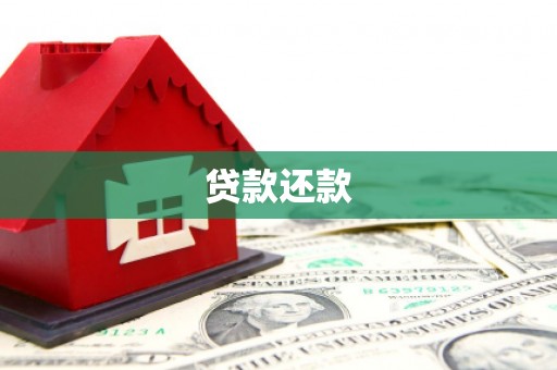 丰原贷款还款