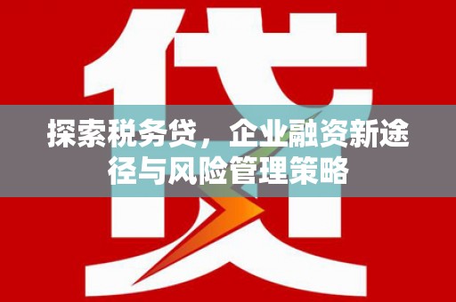 丰原探索税务贷，企业融资新途径与风险管理策略