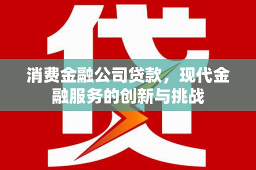 丰原消费金融公司贷款，现代金融服务的创新与挑战