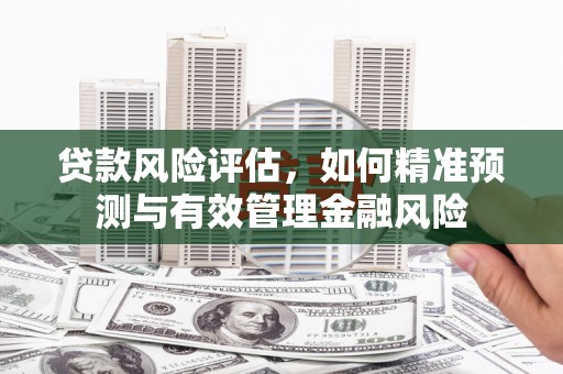 丰原贷款风险评估，如何精准预测与有效管理金融风险