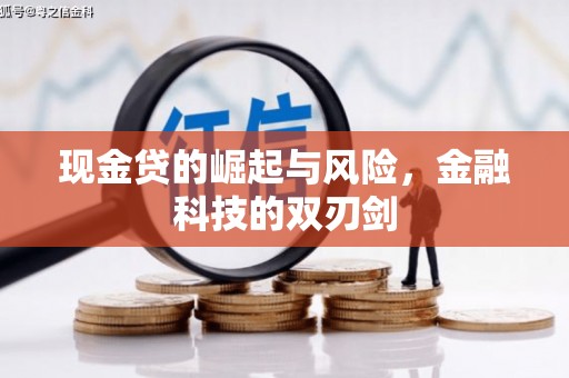 丰原现金贷的崛起与风险，金融科技的双刃剑