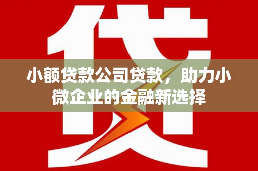 丰原小额贷款公司贷款，助力小微企业的金融新选择