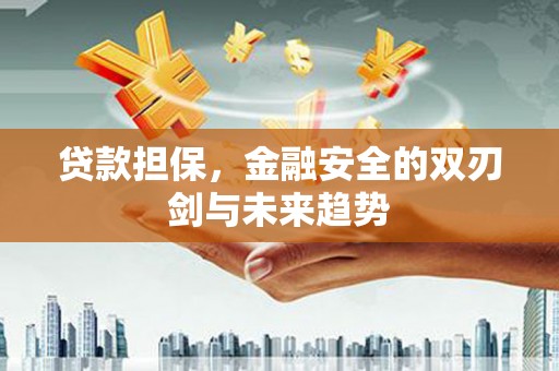 丰原贷款担保，金融安全的双刃剑与未来趋势