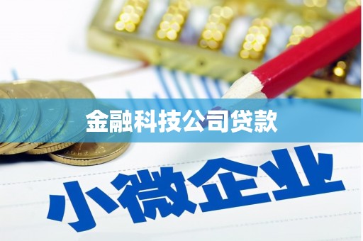 丰原金融科技公司贷款
