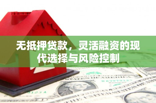 丰原无抵押贷款，灵活融资的现代选择与风险控制