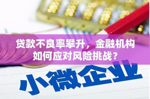 丰原贷款不良率攀升，金融机构如何应对风险挑战？