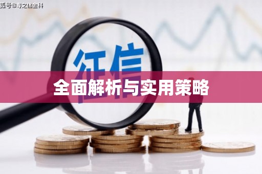 丰原全面解析与实用策略