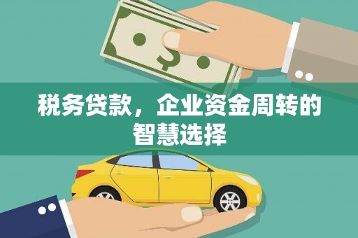 丰原税务贷款，企业资金周转的智慧选择