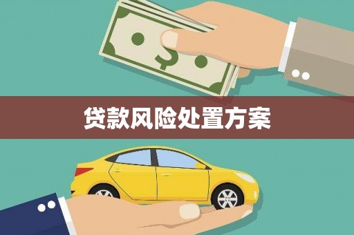 丰原贷款风险处置方案