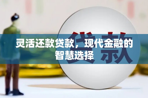 丰原灵活还款贷款，现代金融的智慧选择