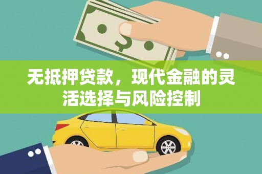 丰原无抵押贷款，现代金融的灵活选择与风险控制