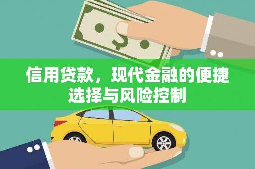 丰原信用贷款，现代金融的便捷选择与风险控制