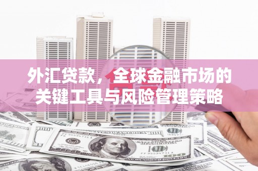 丰原外汇贷款，全球金融市场的关键工具与风险管理策略