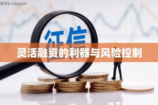 丰原灵活融资的利器与风险控制