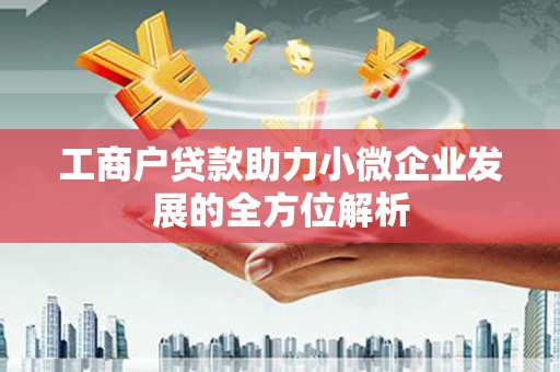 丰原工商户贷款助力小微企业发展的全方位解析