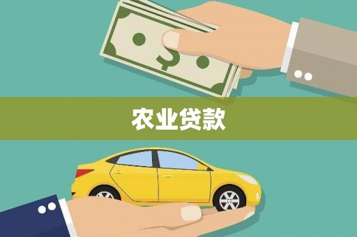 丰原农业贷款