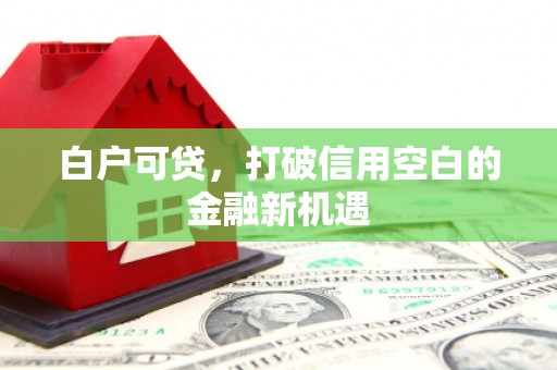 丰原白户可贷，打破信用空白的金融新机遇
