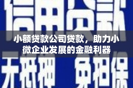 丰原小额贷款公司贷款，助力小微企业发展的金融利器