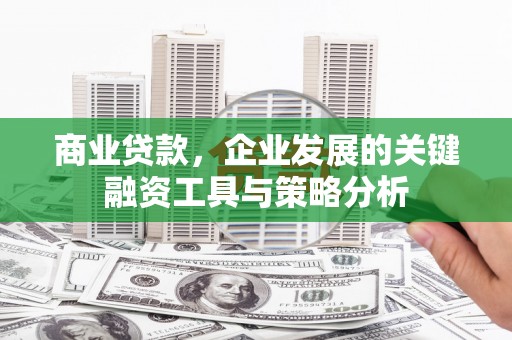 丰原商业贷款，企业发展的关键融资工具与策略分析