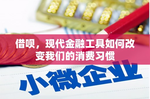 丰原借呗，现代金融工具如何改变我们的消费习惯