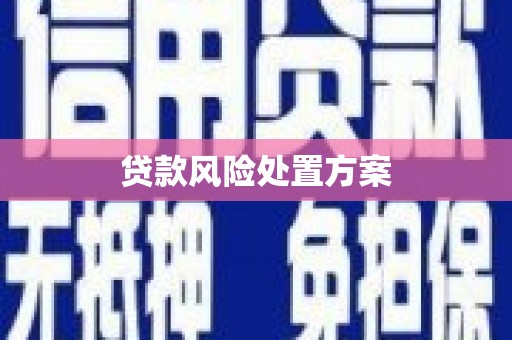 丰原贷款风险处置方案