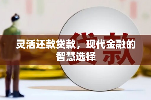 丰原灵活还款贷款，现代金融的智慧选择