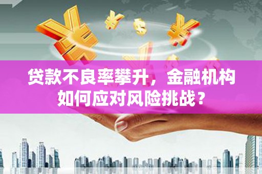 丰原贷款不良率攀升，金融机构如何应对风险挑战？