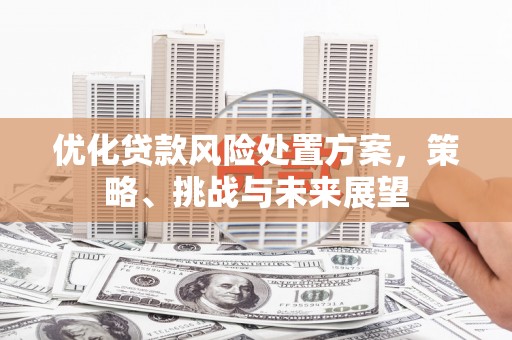 丰原优化贷款风险处置方案，策略、挑战与未来展望