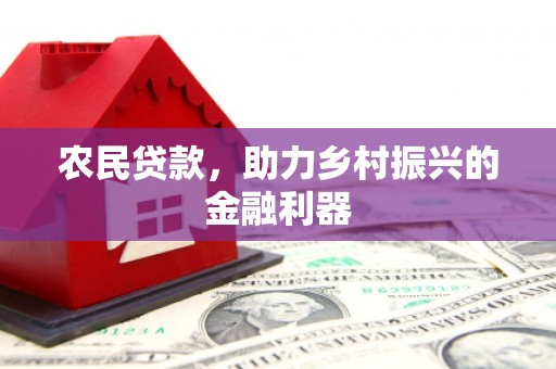 丰原农民贷款，助力乡村振兴的金融利器