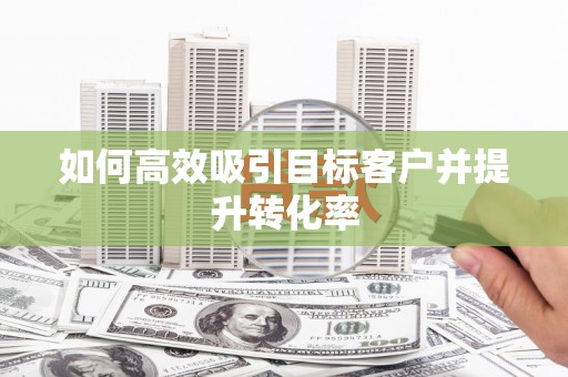 丰原如何高效吸引目标客户并提升转化率