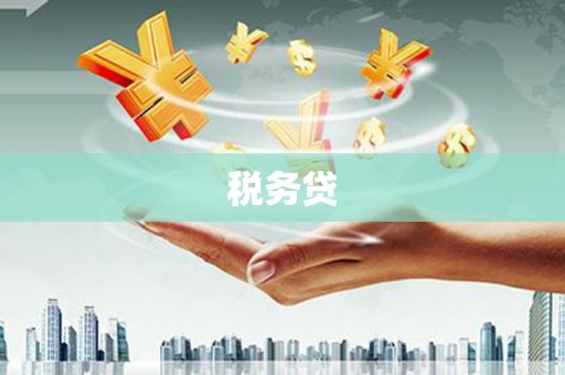丰原税务贷