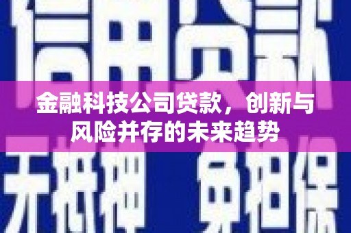丰原金融科技公司贷款，创新与风险并存的未来趋势