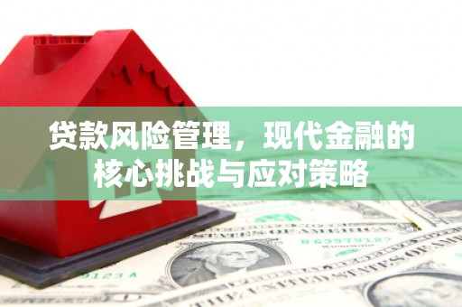 丰原贷款风险管理，现代金融的核心挑战与应对策略