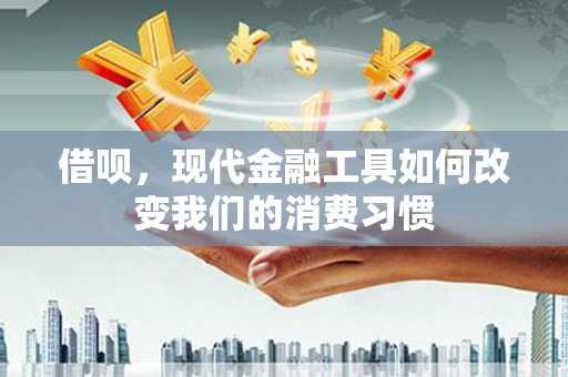丰原借呗，现代金融工具如何改变我们的消费习惯